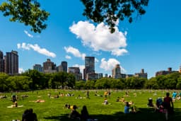 How To Land A Job Anywhere